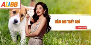 Nằm Mơ Thấy Chó